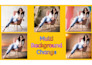 do amazon product edit and background removal